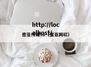 密豆传媒91（蜜豆网红）